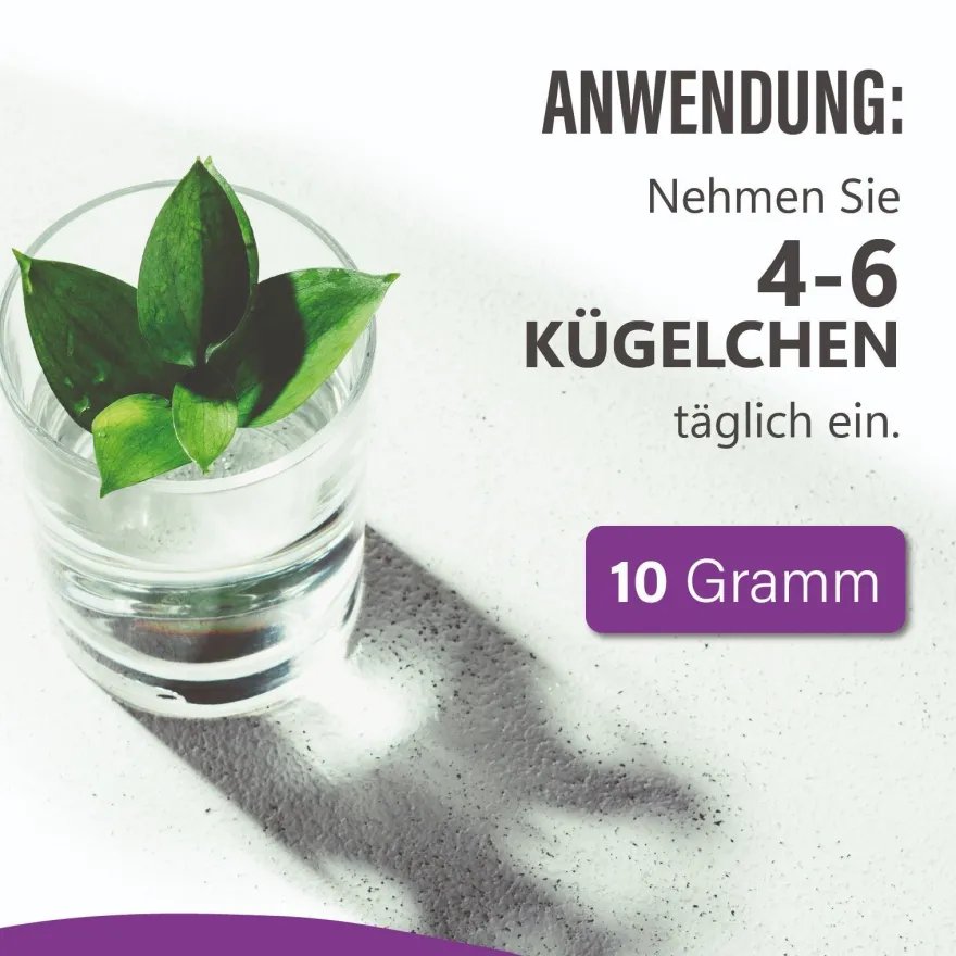 Adema Natural® HCG Kügelchen - Unterstützung des Fettstoffwechsels - hcg