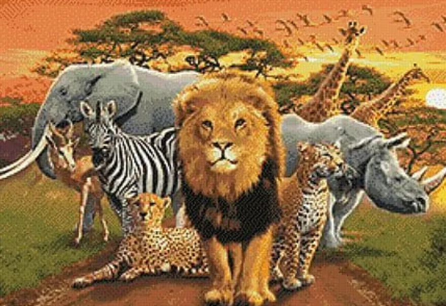 Afrikanische Tiere