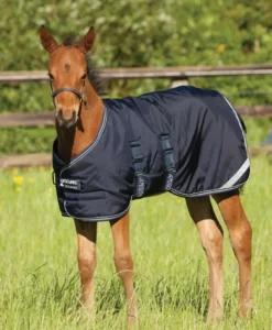 Amigo Foal Rug medium, Amigo Fohlen Decke 200 g, wasserdicht, Regendecke Fohlen