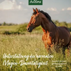 Aniforte Flohsamenschalen 2,5kg Sparpack Diät Verdauung Magen- Darm Pferde Ponys