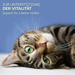 AniForte 100% Taurin 100g für Katzen - Aminosäure Stoffwechsel Immunsystem