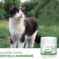 AniForte 100% Taurin 100g für Katzen - Aminosäure Stoffwechsel Immunsystem