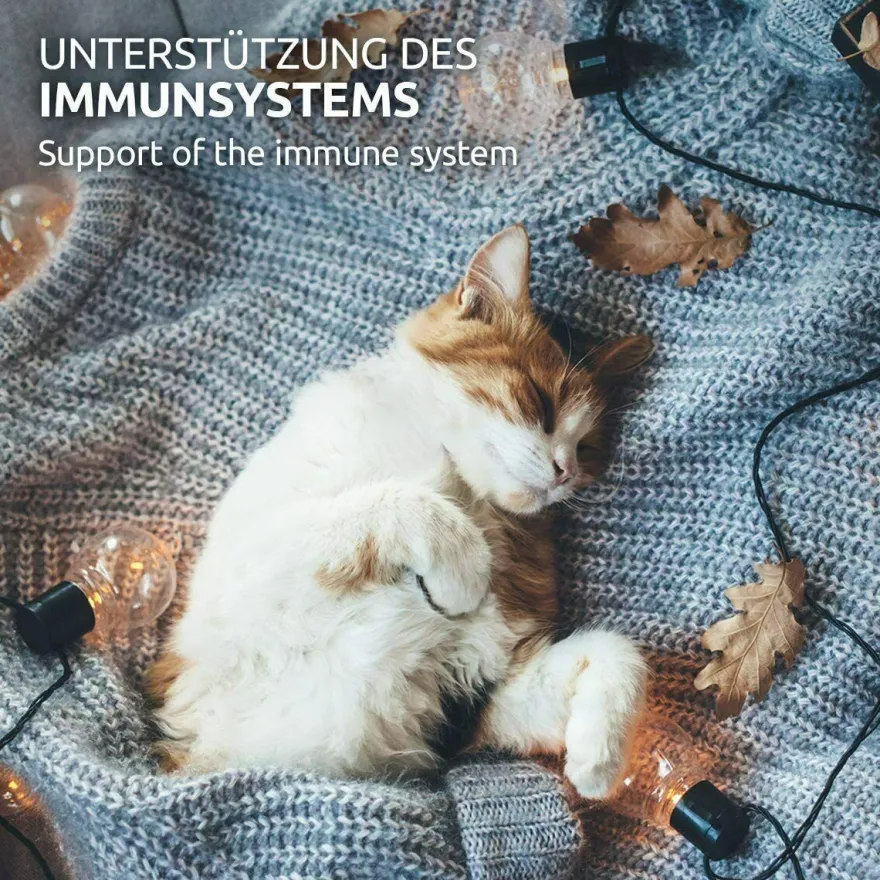AniForte 100% Taurin 100g für Katzen - Aminosäure Stoffwechsel Immunsystem