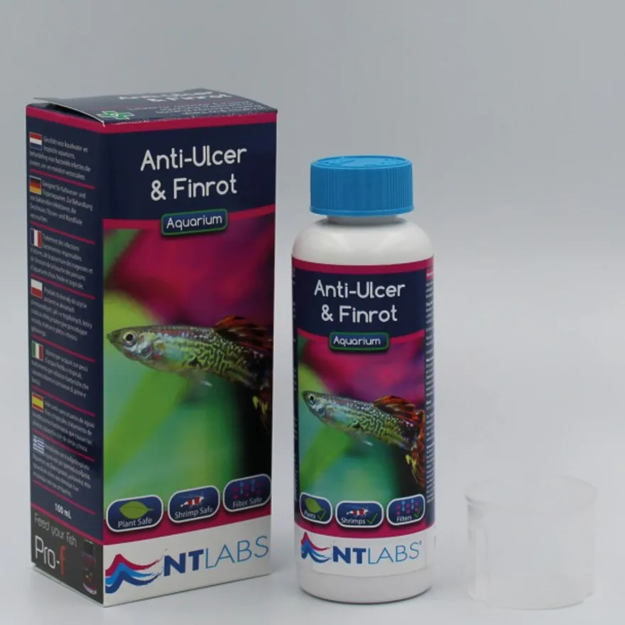 Anti Ulcer & Finrot / gegen Geschwüre und Flossenfäule