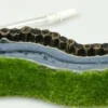 Aqua Nova Deko Palisade Luftstein Sprudelstein Ausströmer 16x5cm Moos Ornament