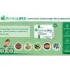 Armolipid Cholesterol Herz Saubere Cholesterinspiegel 60 Tabletten