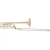aS Arnolds & Sons ASL-420G Terra in B/F Posaune