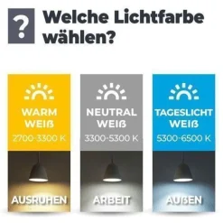 Aufbauspot OH36 Deckenleuchte RUND Farbe Schwarz Deckenstrahler Aluminium IP20 LED