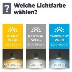 Aufbauspot OH37 Deckenleuchte Rechteck Farbe Schwarz Deckenstrahler Aluminium IP20