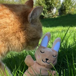 Aumüller Katzenspielzeug Baldi Bunny - Plüschtier zum Schmusen mit Baldrianfüllung