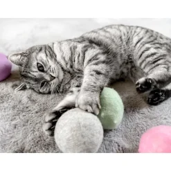 Aumüller natürliches Katzenspielzeug, Wollfilzkugel - 4 Stück