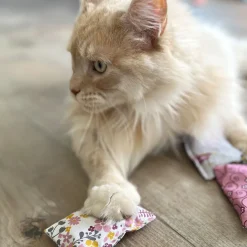 Aumüller Schmusekissen für Katzen mit Katzenminze - Katzenspielkissen Minzini, 10