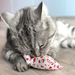 Aumüller Schmusekissen für Katzen mit Katzenminze - Katzenspielkissen Minzini, 10