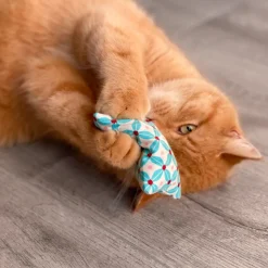 Aumüller Schmusekissen für Katzen mit Katzenminze - Katzenspielkissen Minzini, 10