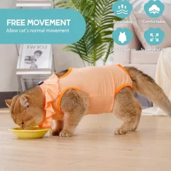 Avont Katzenbody Erholungsanzug Kastration Spay Leckschutz Suit für Katze