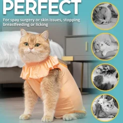 Avont Katzenbody Erholungsanzug Kastration Spay Leckschutz Suit für Katze