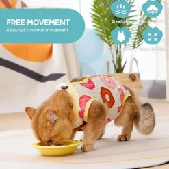 Avont Katzenbody nach OP Erholungsanzug Recovery Suit für Katze, Bauchwunden