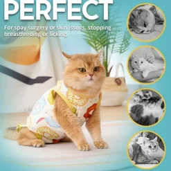 Avont Katzenbody nach OP Erholungsanzug Recovery Suit für Katze, Bauchwunden