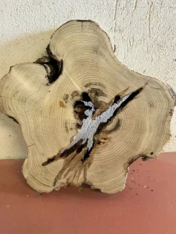 Baumscheibe, Holzscheibe, Tischplatte Robinie ca. 40x5 cm, geschliffen