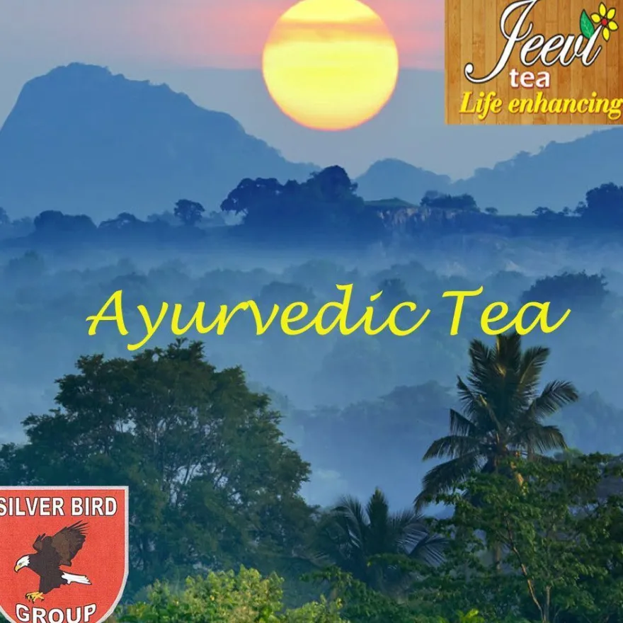 120 - 240 Beutel WILDER Koriander Ayurveda Kräuter Ceylon Tee Versand aus Deutschland