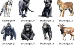 Bügelbild Bügelmotiv Dschungel Tiger Elefant Affe Tier verschiedene Größen