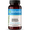 Bioherba Guggul Extrakt Kapseln