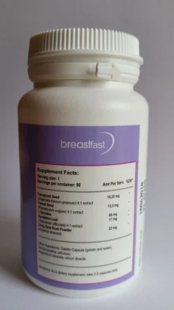 Breastfast * 90 Kapseln* NEU U. OVP * Blitzversand