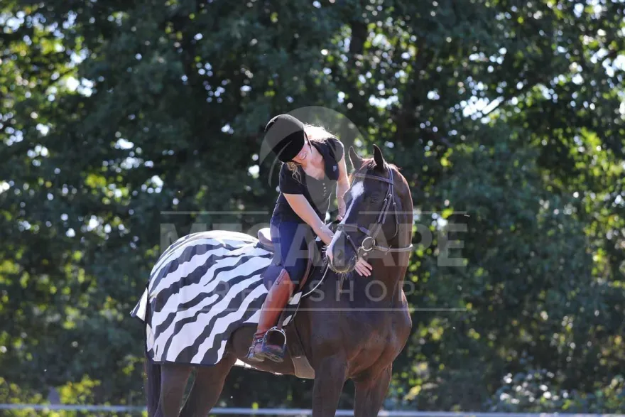 Bucas Riding Rug - Zebra