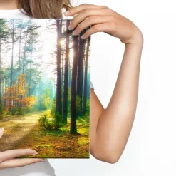 CANVAS Leinwandbild XXL Wandbilder Büro Sonnenstrahlen im Wald 3D 1332