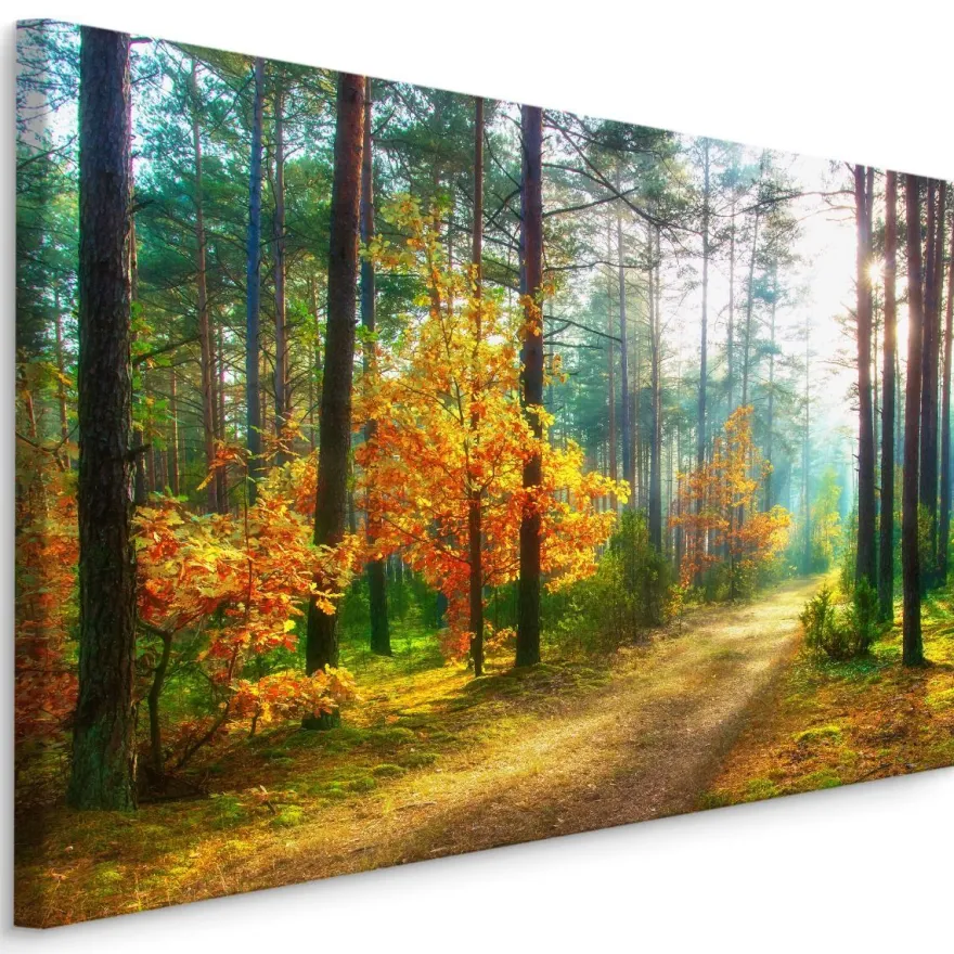 CANVAS Leinwandbild XXL Wandbilder Büro Sonnenstrahlen im Wald 3D 1332