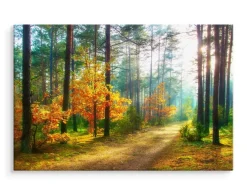 CANVAS Leinwandbild XXL Wandbilder Büro Sonnenstrahlen im Wald 3D 1332