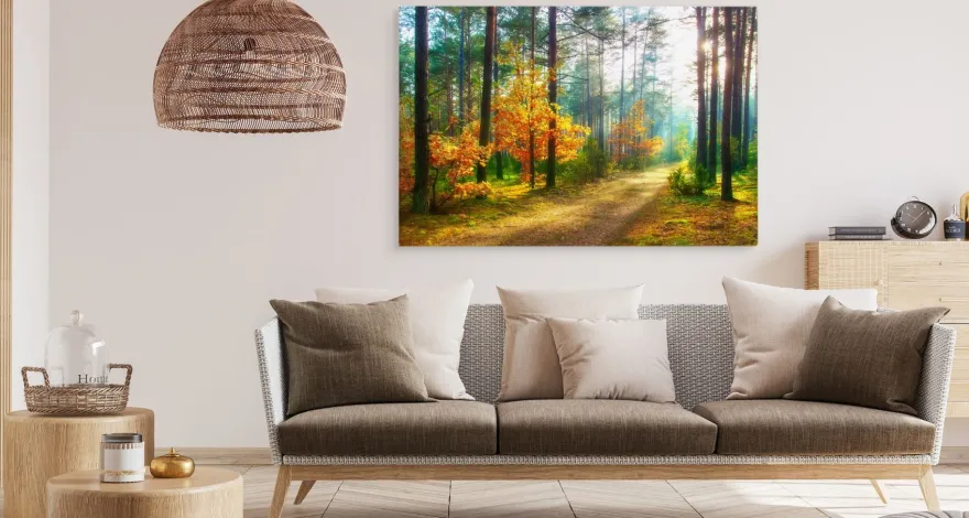 CANVAS Leinwandbild XXL Wandbilder Büro Sonnenstrahlen im Wald 3D 1332