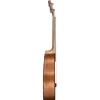 Cascha Ukulele HH-2049 Tenor Ukulele Set