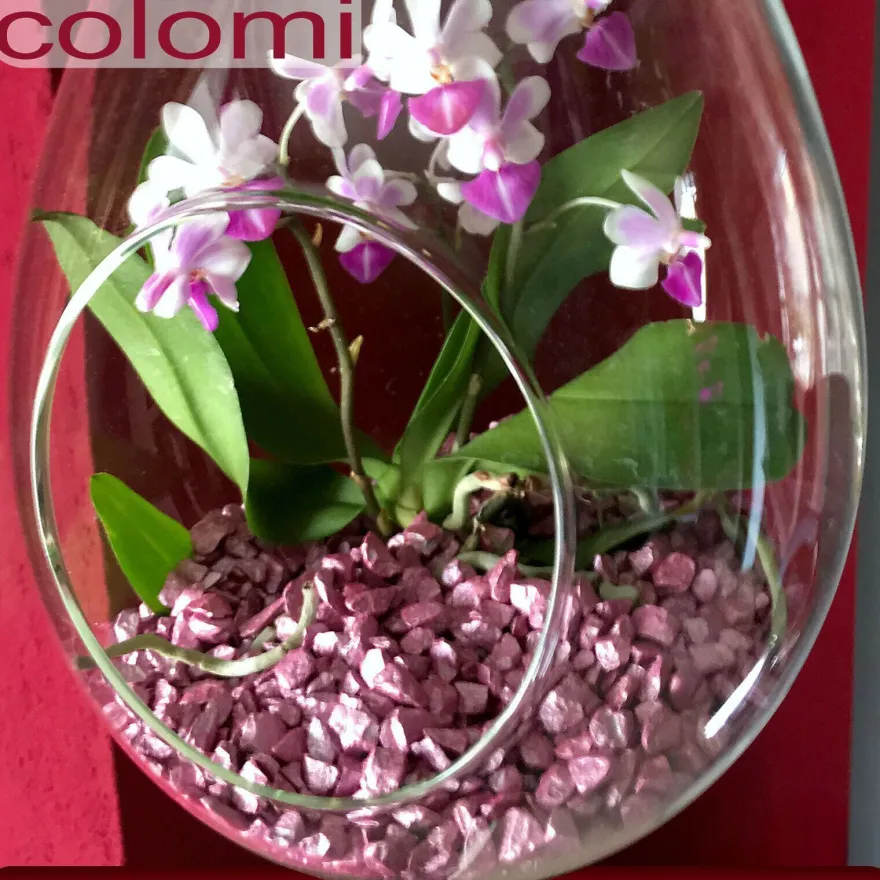 Colomi 1 l Pflanz-Substrat für Orchideen | 4 bis 8 mm | 15 Farben zur Auswahl