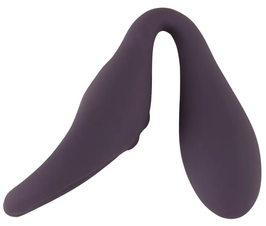 Couples Choice RC Paarvibrator