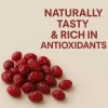 Cranberries Getrocknet 20kg Saftig Ganze Beeren Vegan Snack Müsli Backen GiDeli