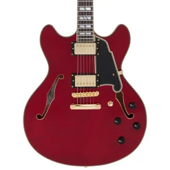 DAngelico Excel DC