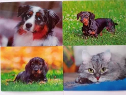 3 D Ansichtskarte Hunde Katze Postkarte Wackelkarte Hologrammkarte Tier Hund Katzen