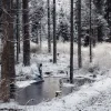 DD Hammocks Dd Poncho Tarp Winter MC - Camouflage weiß Zubehör