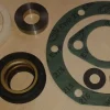 Dichtsatz Reparatursatz für Wasserpumpe Schlüter SD SDM (neu)/