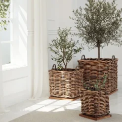 Dickes CL Rattan Korb Cestino braun ca.70cm Teakbodenplatte Pflanzkorb Griffe