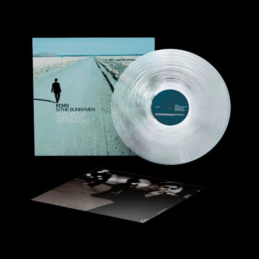 Echo & The Bunnymen: Echo & The Bunnymen: What Are You Going T
