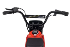 Elektro Kinder Motorrad KIDS Dirtbike 350W 24V/10Ah