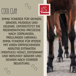 EMMA Cool Clay essigsaure Tonerde - Tonerde Pferd I Cool Clay dopingfrei 3 * 1,5 Kg