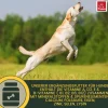 EMMA Multi Vitamine + Vitamin B-Komplex für Hunde, Tropfen 100ml