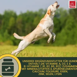 EMMA Multi Vitamine + Vitamin B-Komplex für Hunde, Tropfen 100ml