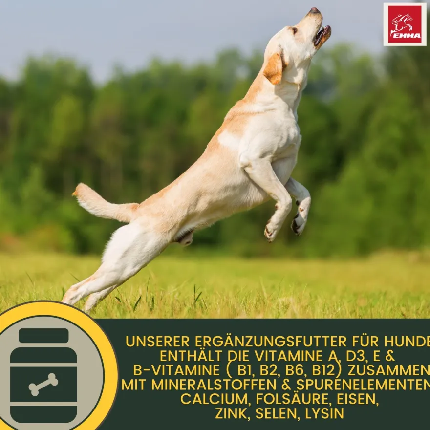 EMMA Multi Vitamine + Vitamin B-Komplex für Hunde, Tropfen 100ml