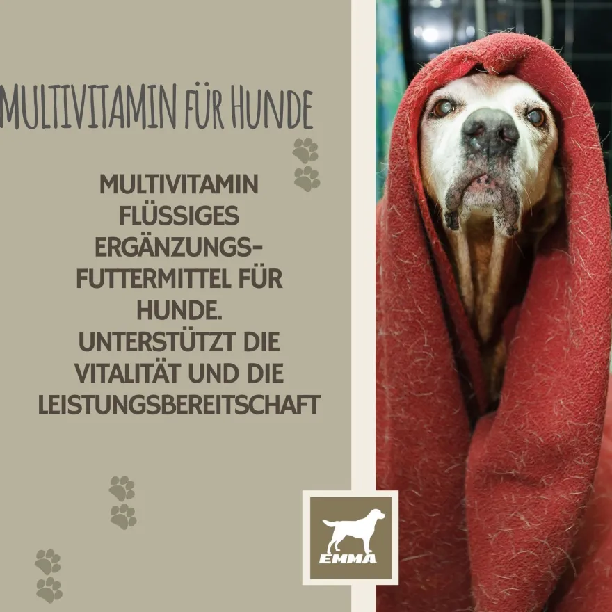 EMMA Multi Vitamine + Vitamin B-Komplex für Hunde, Tropfen 100ml
