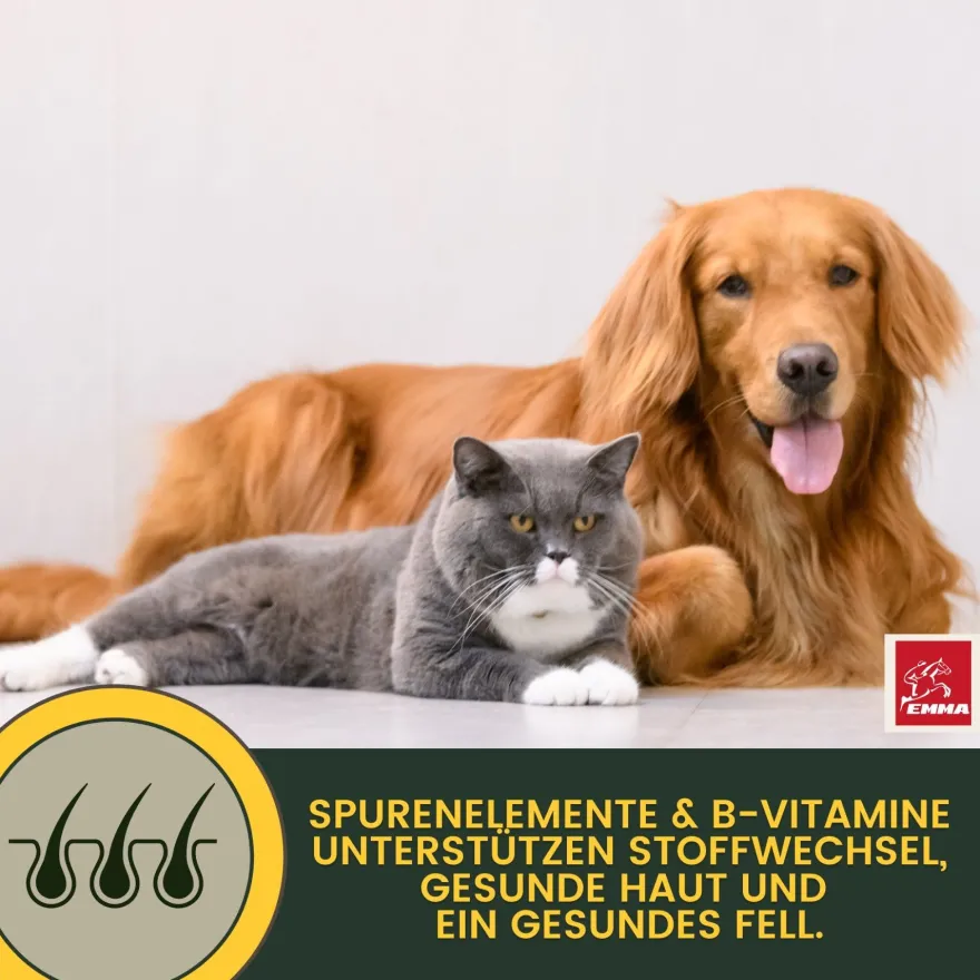 EMMA Multi Vitamine + Vitamin B-Komplex für Hunde, Tropfen 100ml