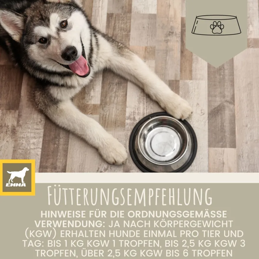 EMMA Multi Vitamine + Vitamin B-Komplex für Hunde, Tropfen 100ml